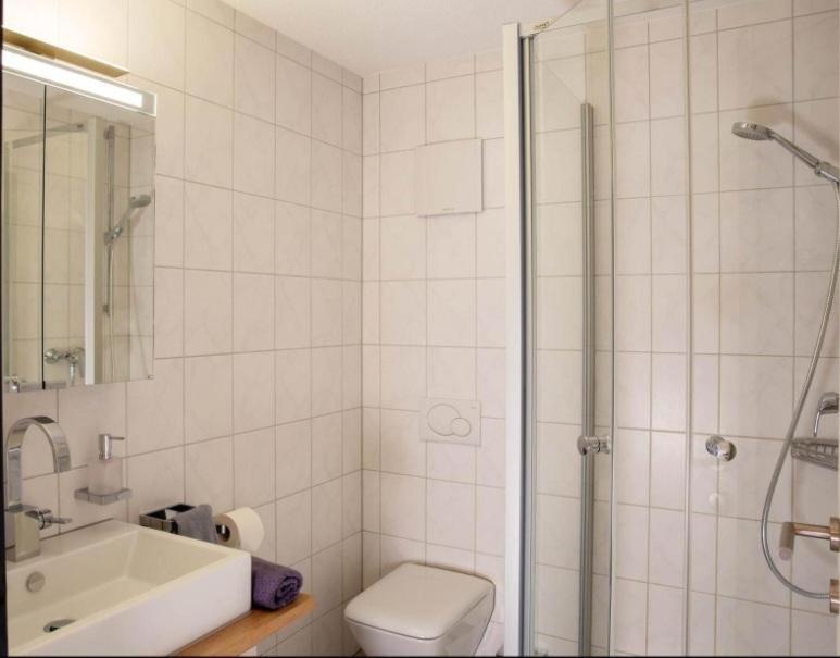 Mountain Deluxe Apartment Bartholomaeberg Luaran gambar
